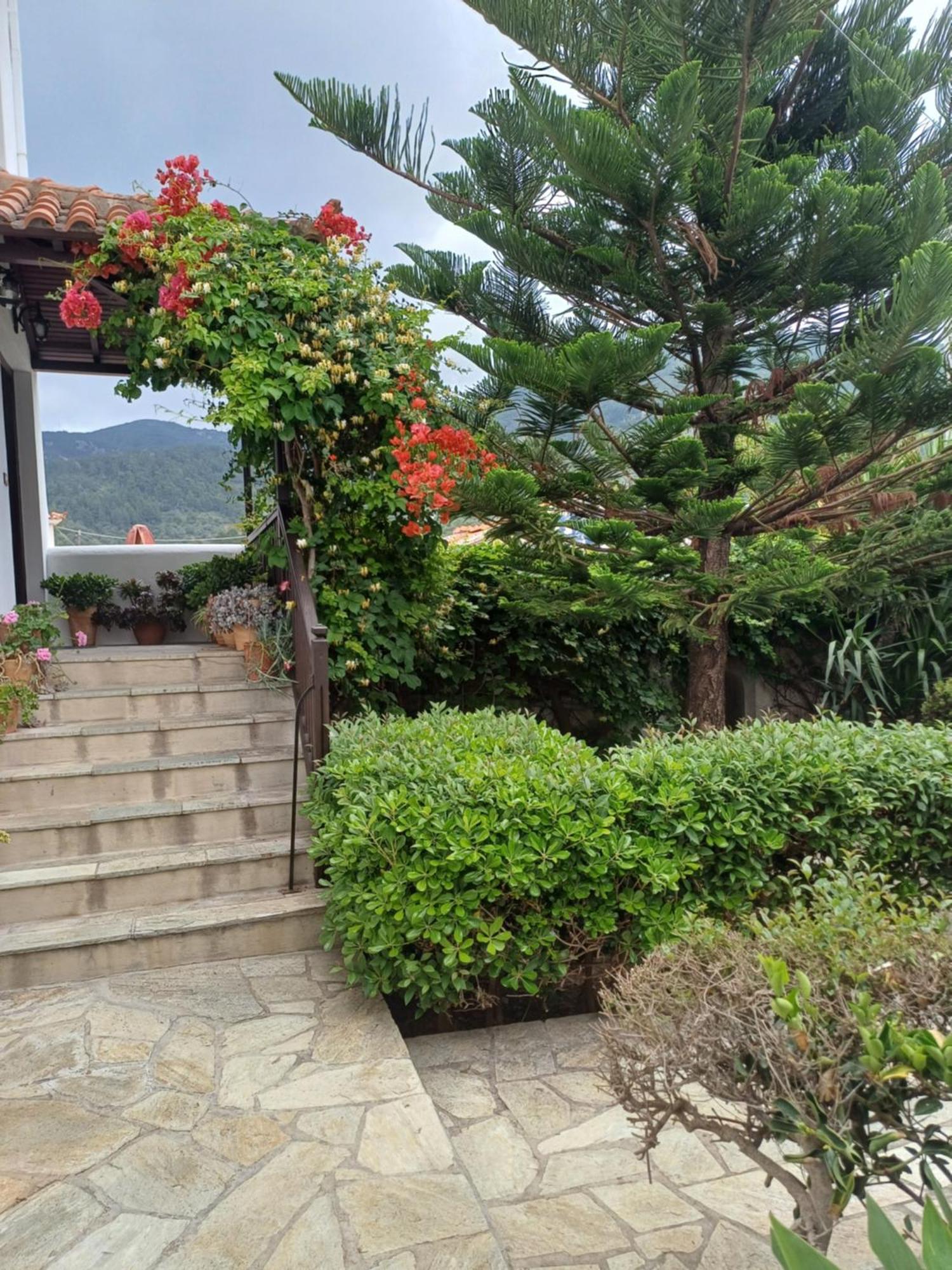 Nikolaos Studios Apartments Skopelos Town Exterior foto
